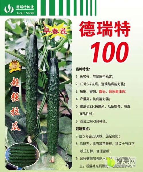 9-1-1爆料网 朝阳吃瓜网,9-1-1爆料网最新热点事件追踪